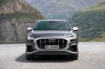 Audi SQ8 TDI 2019 года (WW)